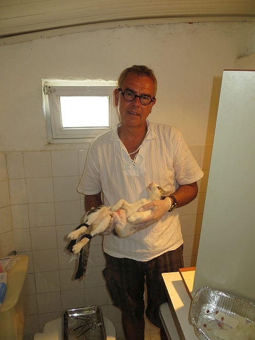tl_files/images_neu/rhodos_sept/022rho_sept14.jpg