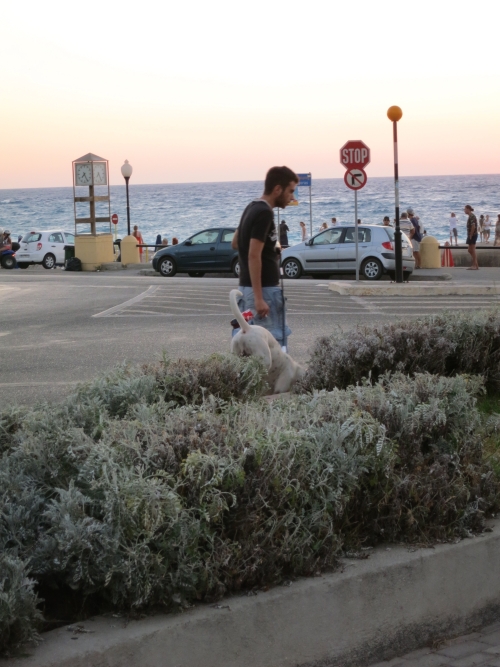 tl_files/images_neu/rhodos_sept/031rho_sept14.jpg